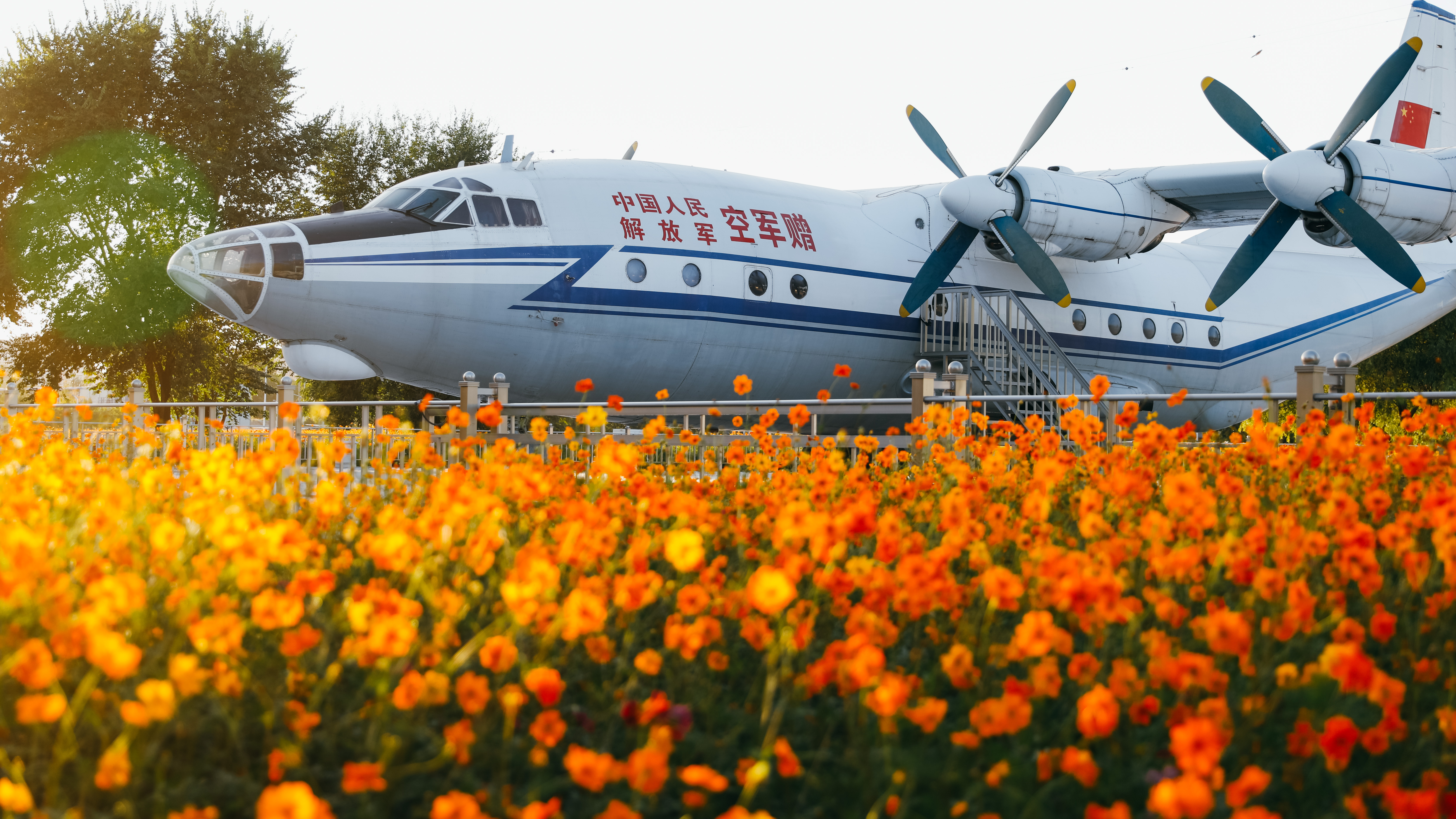 _R1A9851.jpg