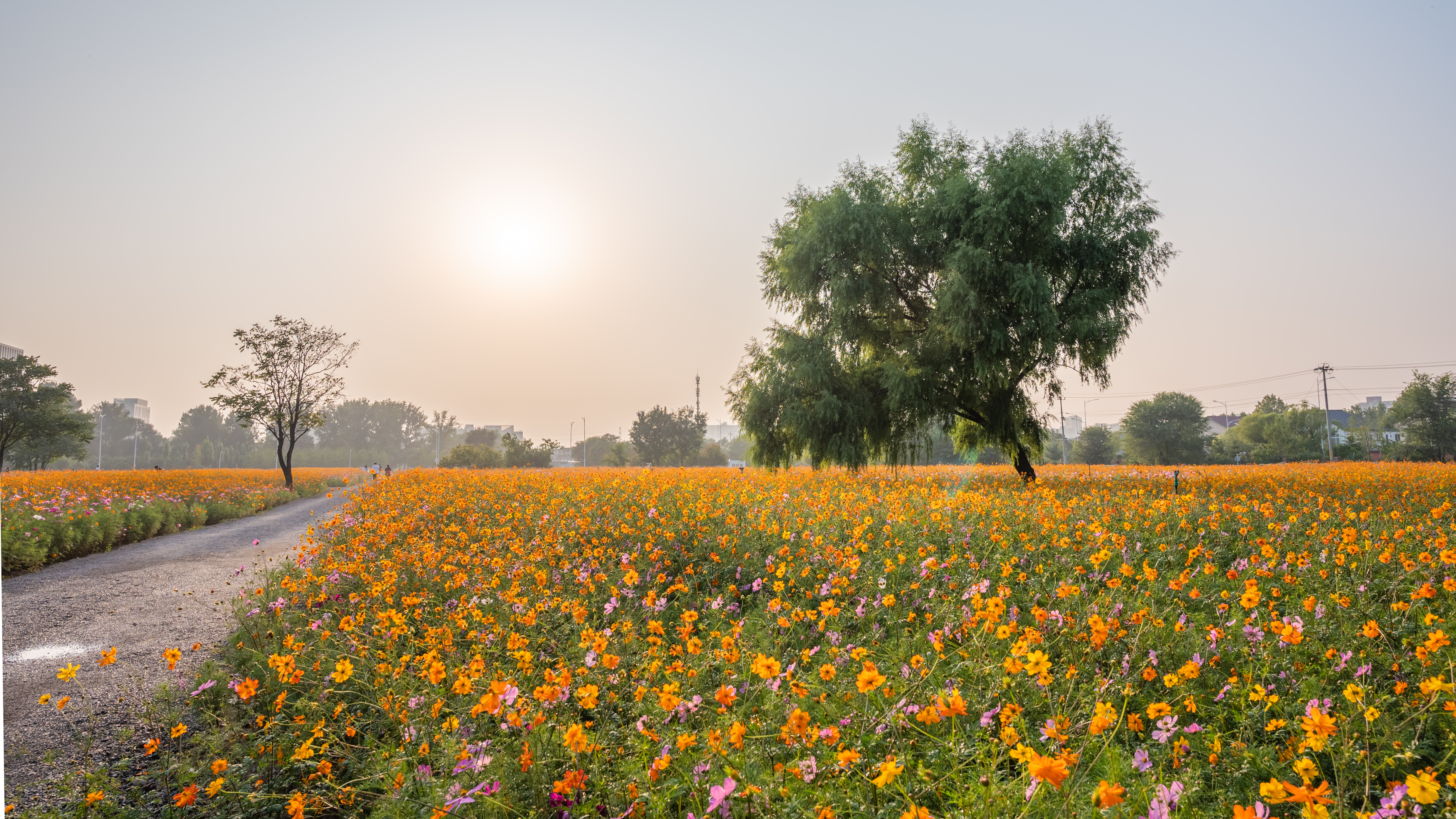 DSC_1971-HDR.jpg